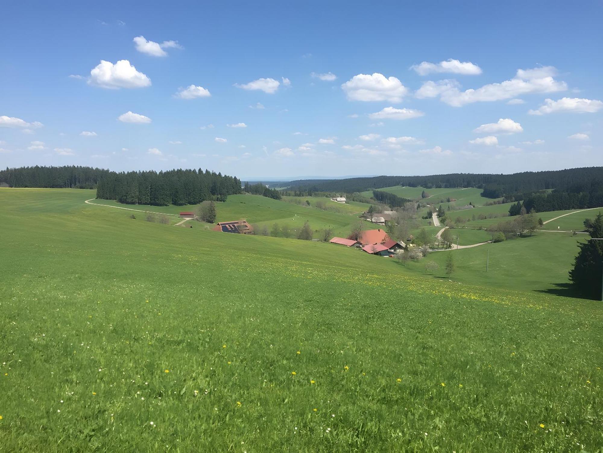 Blackforest Ferienwohnung Sankt Georgen im Schwarzwald Ngoại thất bức ảnh