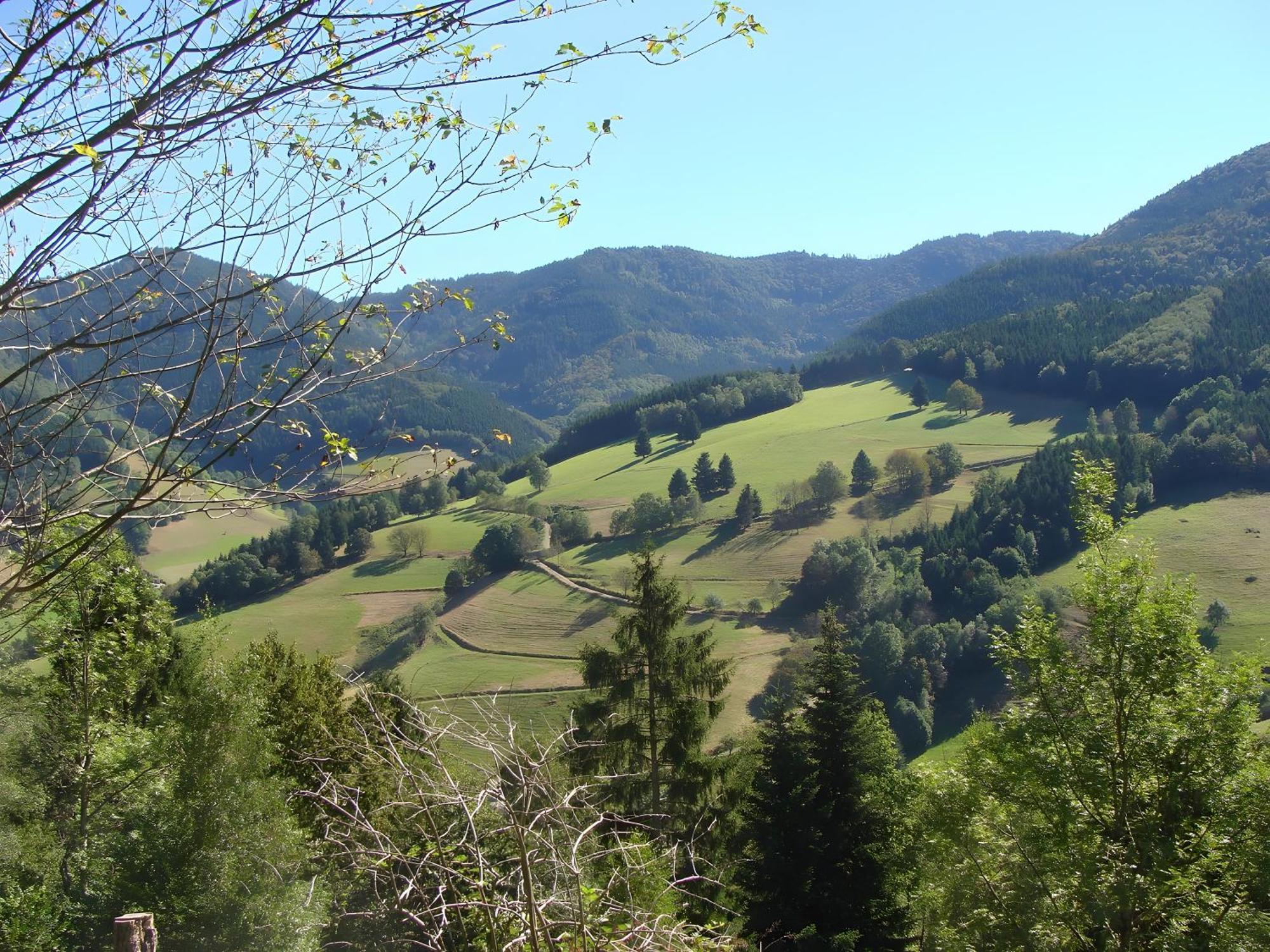 Blackforest Ferienwohnung Sankt Georgen im Schwarzwald Ngoại thất bức ảnh